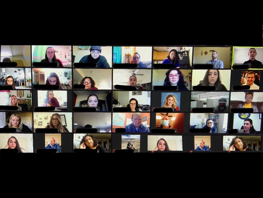 Screen shot of a Zoom conference call with attendees for Social Work Advocacy Day