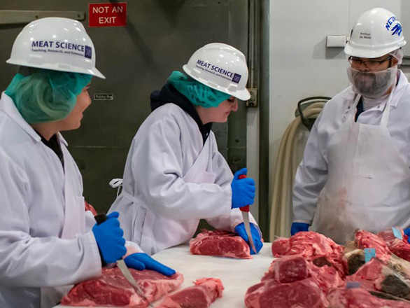 Wolf Pack Meats Director Amilton de Mello shows students how to properly trim meat.