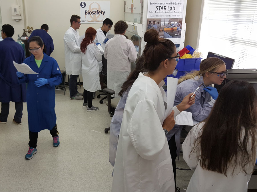 Students working in the STAR lab. 