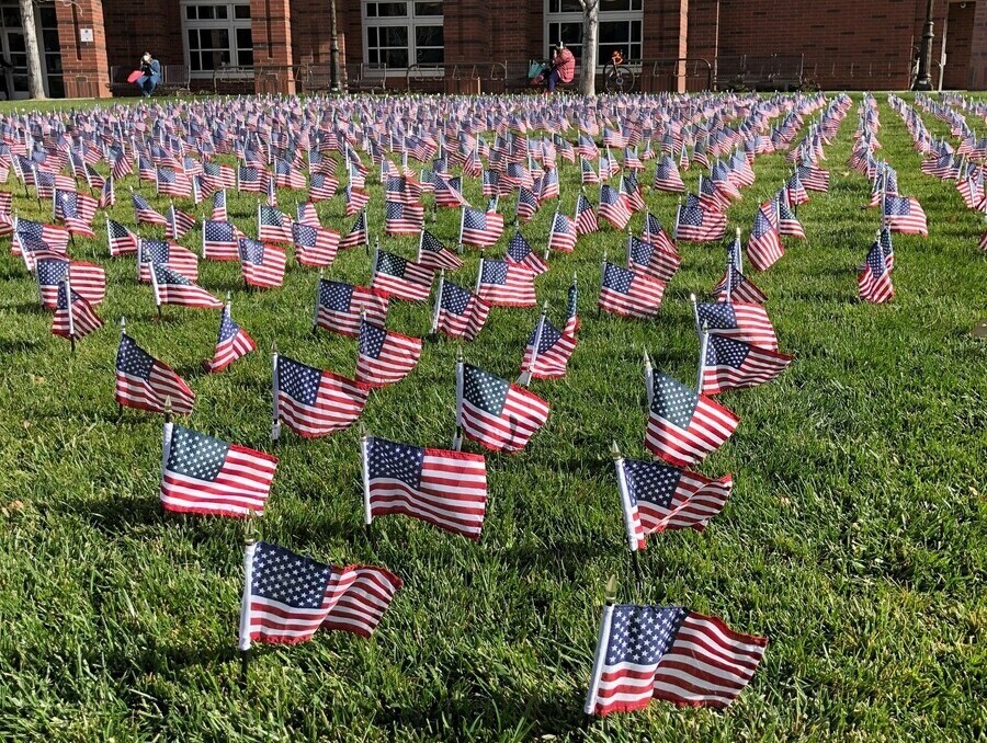 Veteran Flags in front of Student Union