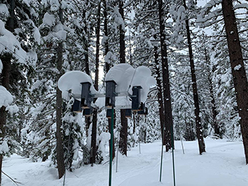 snow covered chickadee feeder