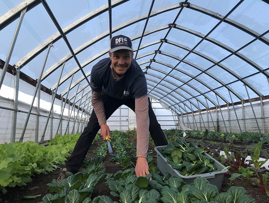 Tanner Petrilla harvesting in a hoop house. 