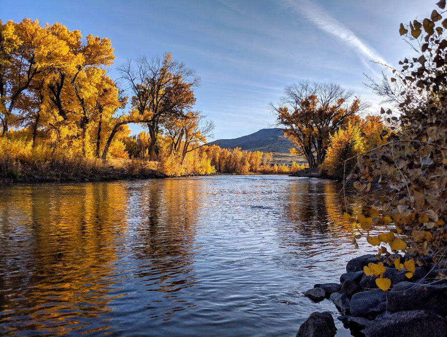 Photo of the Truckee River in fall.