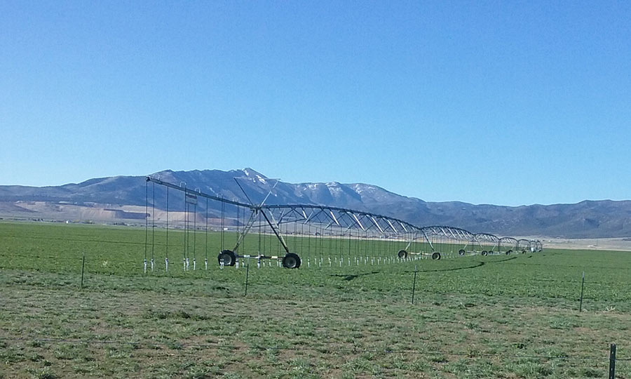 Center pivot with lesa in the alfalfa field. 