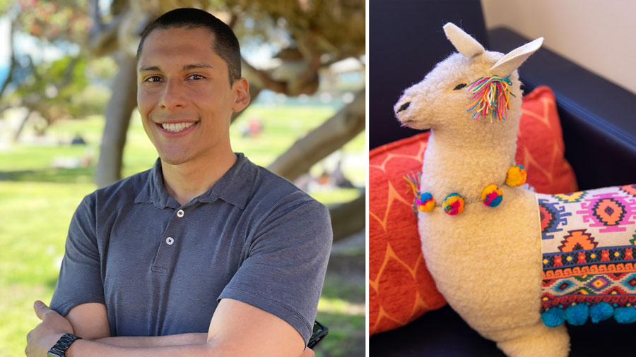 Image compilation of (left) a portrait of Alan Garcia and (right) a stuffed toy llama