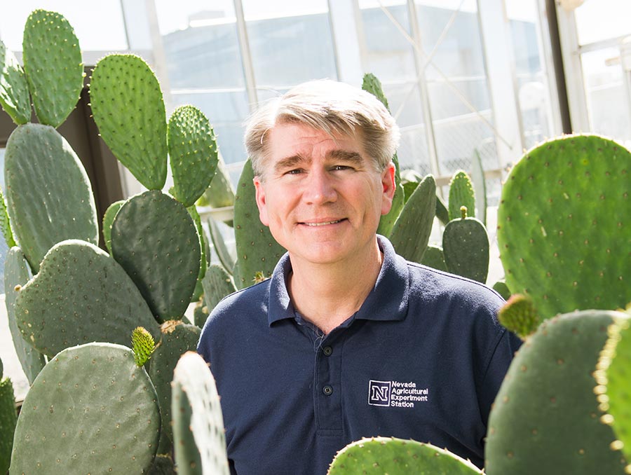 John Cushman surrounded by cactus plants. 