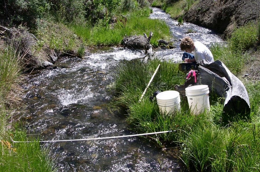 PHD student taking notes next to stream of water.