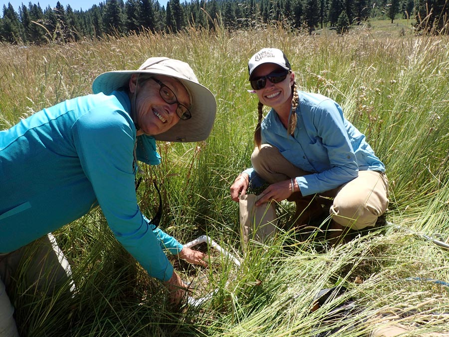 A volunteer and postdoc researcher conduct field testing in a mountain meadow.