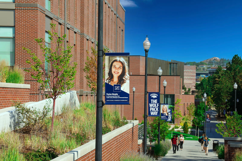 Banners lining The Wolf Pack Way as it passes by the Pennington Student Achievement Center