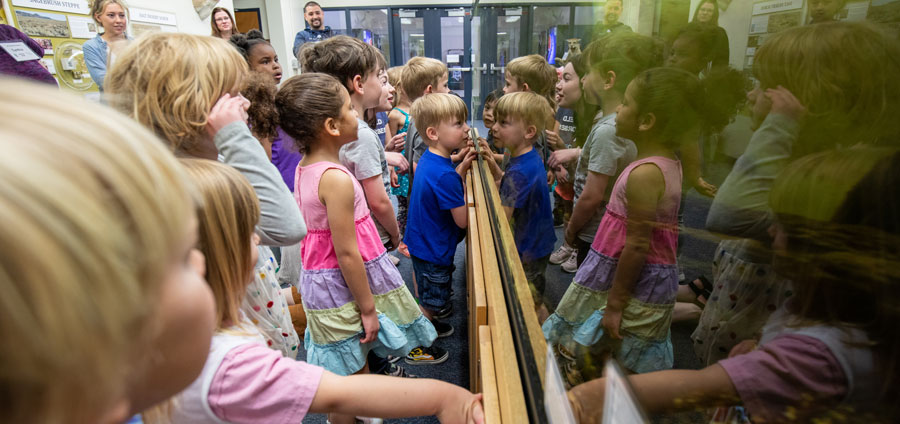 A group of children gather around a large fish tank