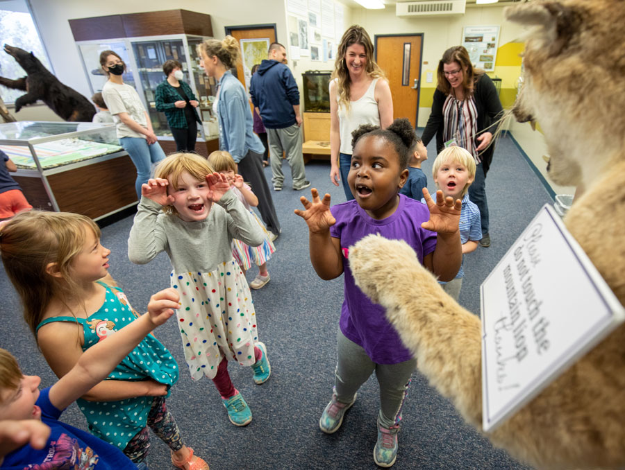 Children play-growl at a taxidermy mountain lion.