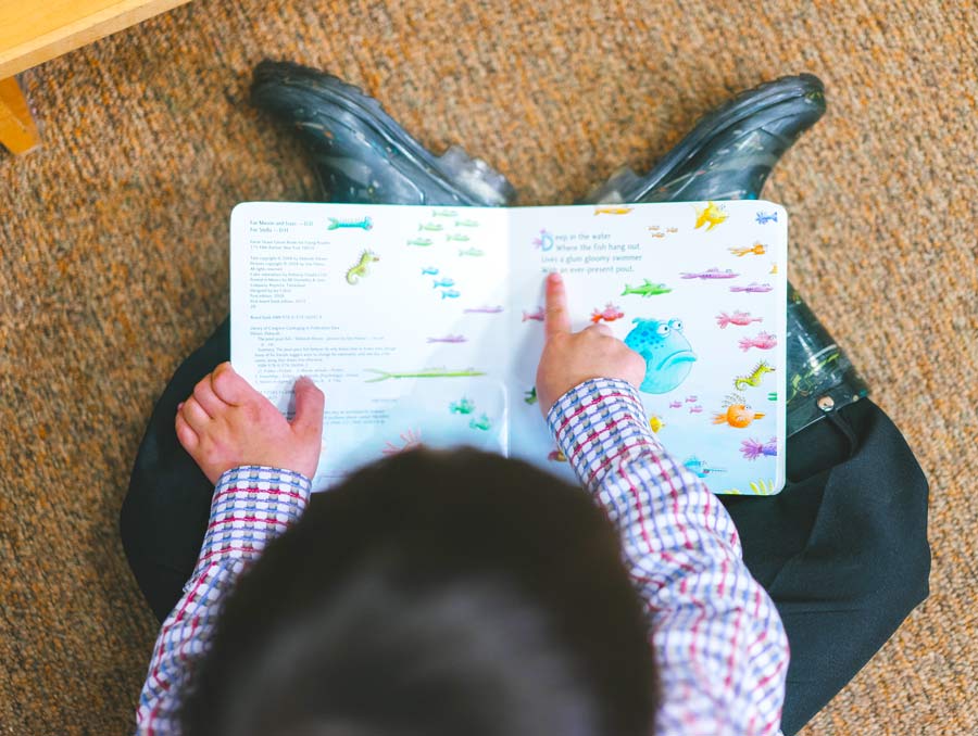 An overhead view of a child sitting on the floor reading a book.