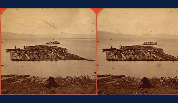 floating boom of logs near the shore of Lake Tahoe you can see two men working along its edge, floating the boom to a sawmill. In the foreground a patient black dog is lying, probably photographer R. E. Woods around 1800s