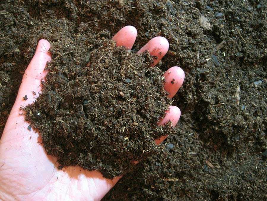 A hand scooping up rich, dark soil.