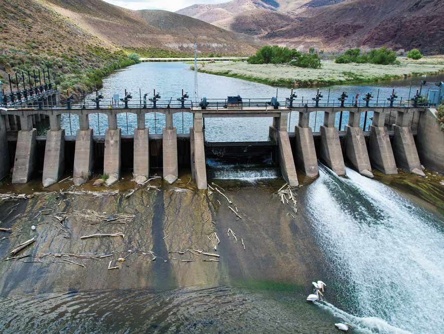 Water runs down a valley through a dam, where pelicans are sitting at the base.