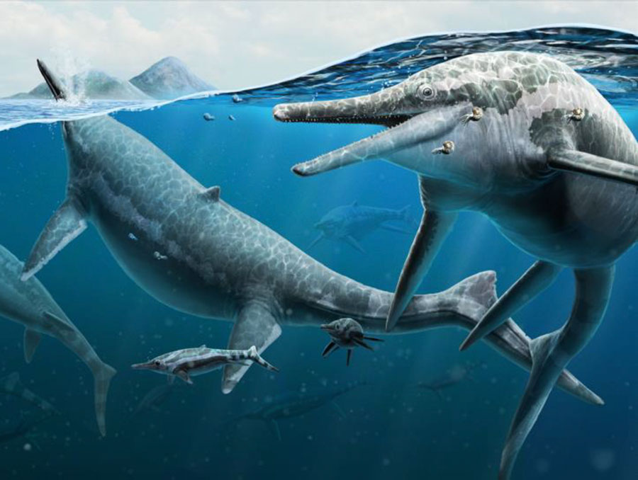 Artis rendition of swimming ichthyosaurs