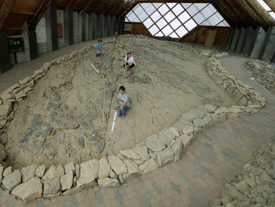 Researchers working in barn-like building that houses ichthyosaur fossils