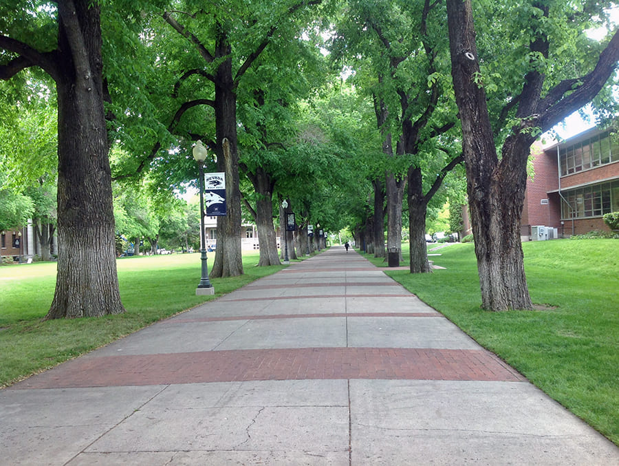 walkway on the Quad