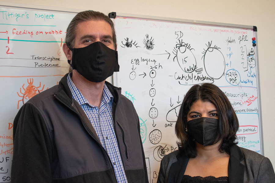 Monika Gulia-Nuss and Andrew Nuss in front of whiteboard. 