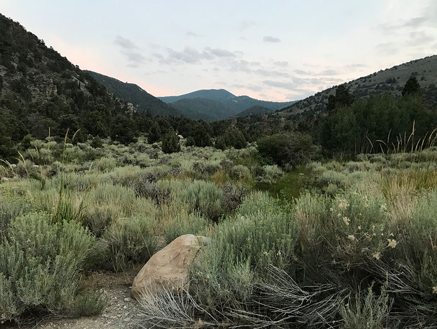 Landscape of Great Basin National Park