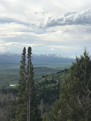 View from a mountain looking at the mouth of the Salmon River.