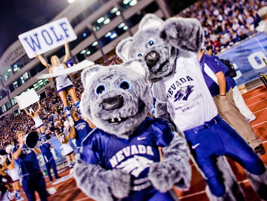 Wolf Pack mascots Wolfie and Alphie in Mackay Stadium