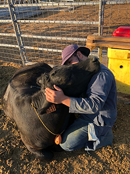 Arturo hugging a steer.
