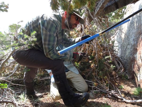 Adam Csank, showing former Ph.D. student Nathan Chellman how to core a tree 