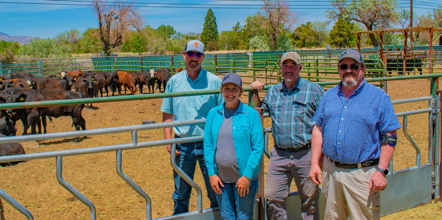 Main Station Field Lab team. 