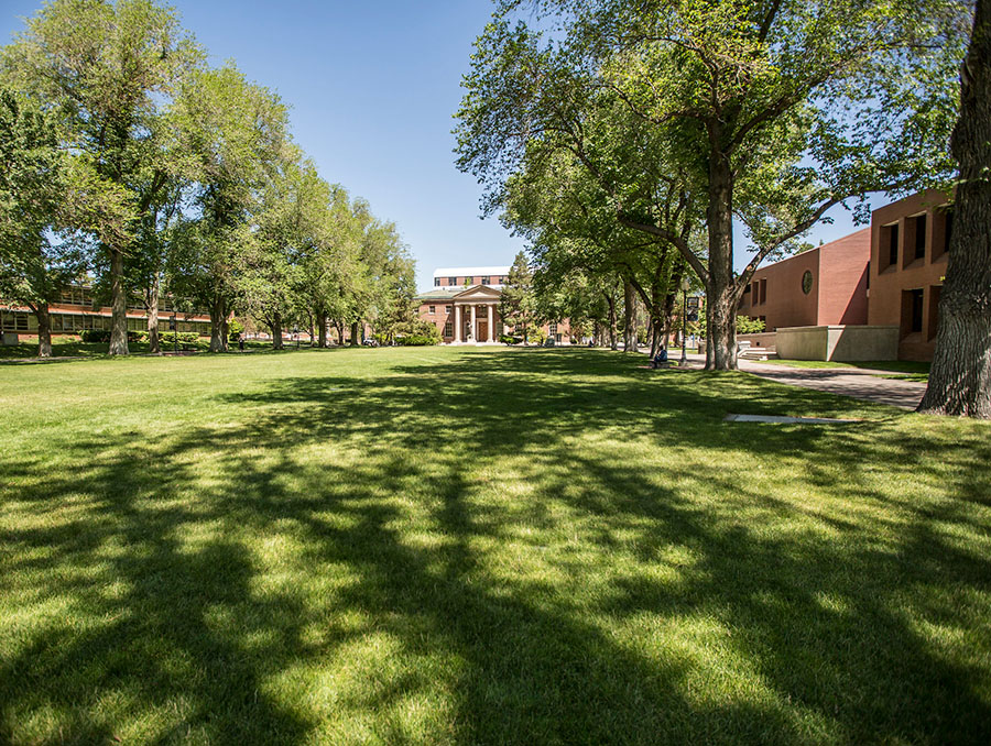 The University Quad with a green lawn, trees and Mackay School of Earth Science in view.