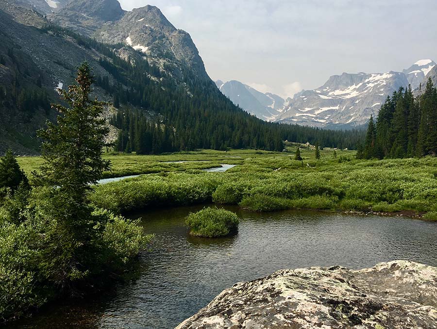 A flowing creek with green foliage and mountains behind it. 