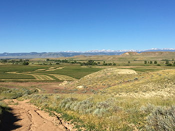 Field of hay in Wyoming. 