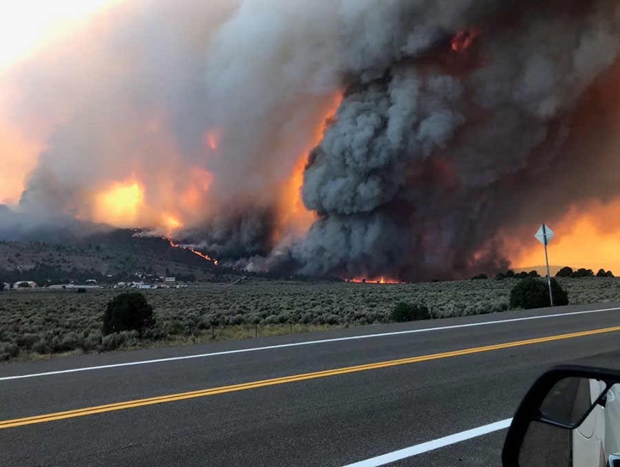 Fire burning foliage in the distance.