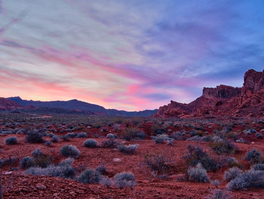 A desert landscape during sunset.