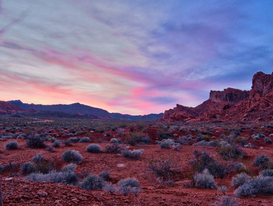 A desert landscape during sunset.