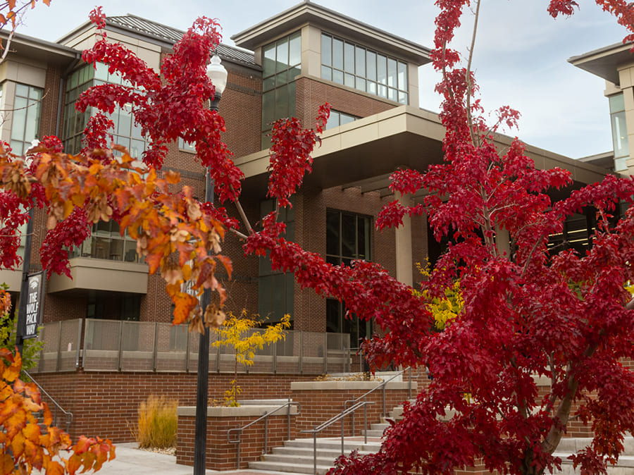 red bushes by achievement center