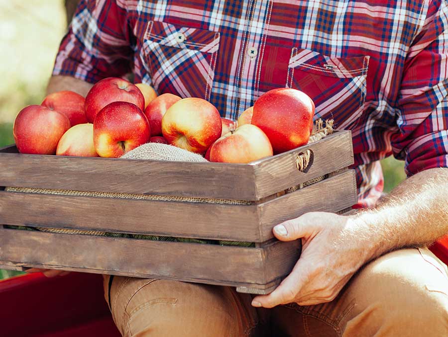 Person holding apple crates.