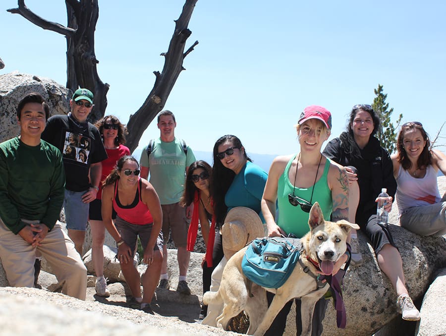 Students within the low-residency MFA in Creative Writing program posing for a photo on a hike through the mountains at Lake Tahoe.