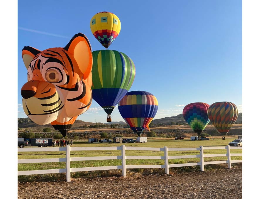 Colorful hot air balloons fill up and begin to ascend behind a white picket fence with blue skies in the background.