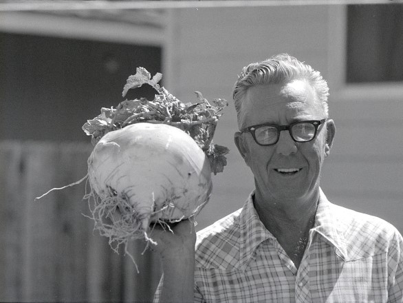 Man holding extremely large turnip. The man is wearing thick, dark-framed glasses and a plaid short sleeve shirt.