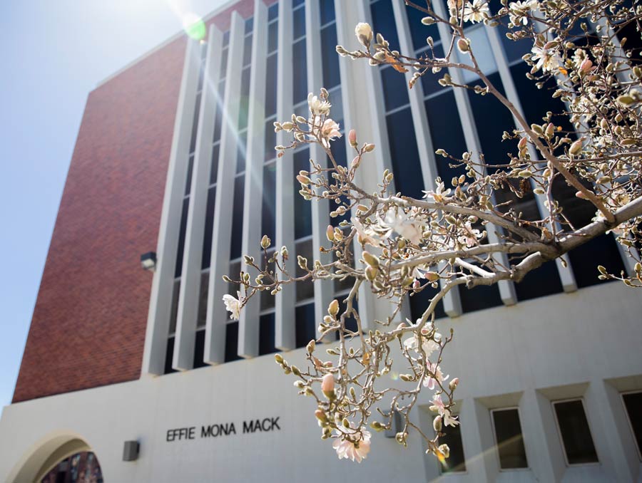 A brick building with a dogwood tree that is starting to bloom in front of it. The name of the building reads, "Effie Mona Mack"