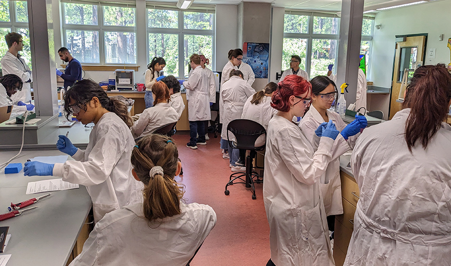 Microbiome camp group lab