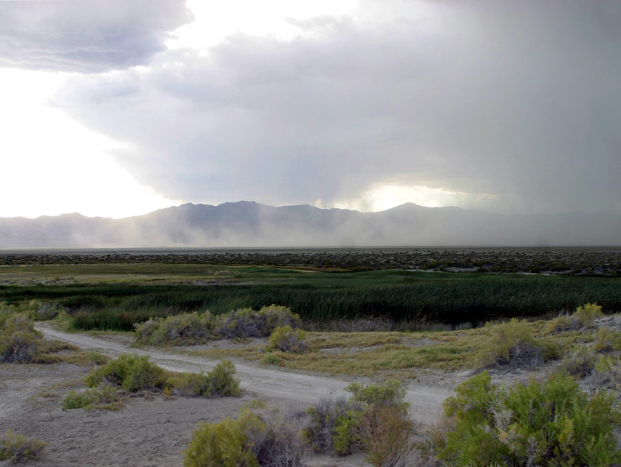 A rainstorm passes between a mountain range and a marshy area, with sagebrush and a road in the foreground.