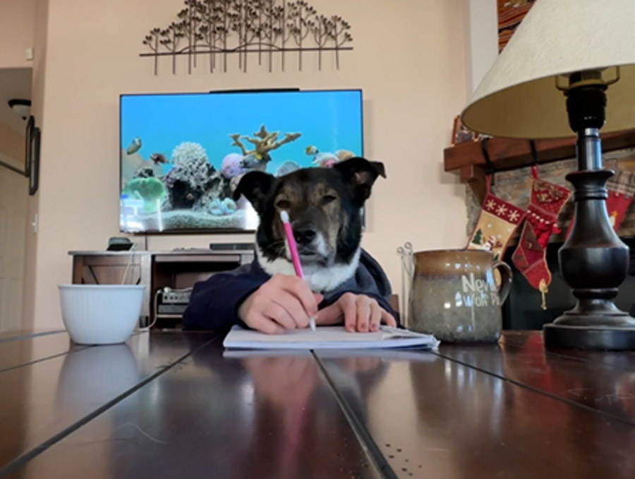 A dog wearing a sweatshirt with a person's hand coming out of the sleeves looks as if it's writing in a notebook. There is a fireplace with stockings handing in the background.