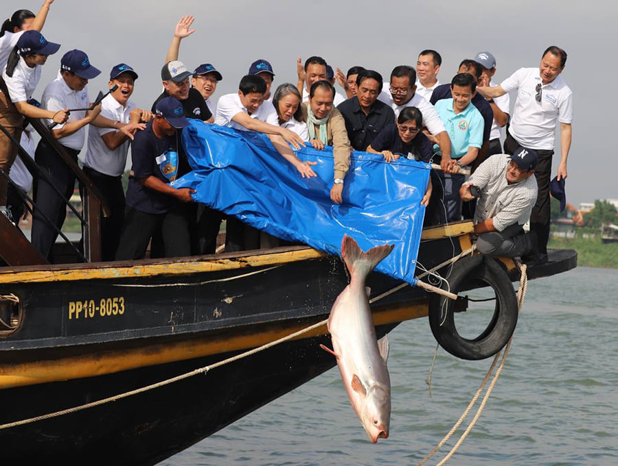 fish release on Mekong River