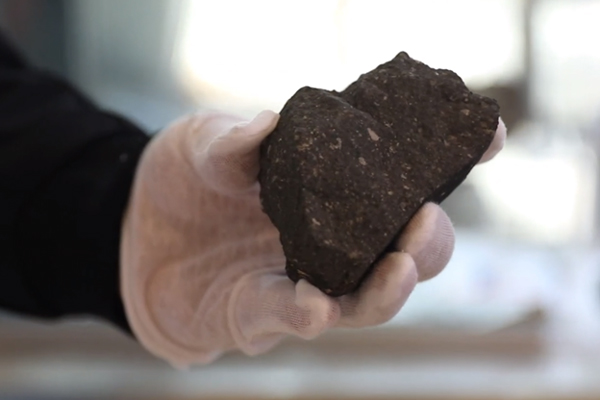 A gloved hand holds a dark gray rock with flecks of white.