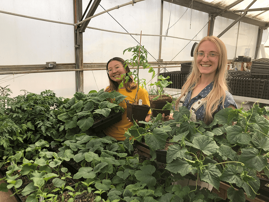 Two students in a greenhouse holding plants.