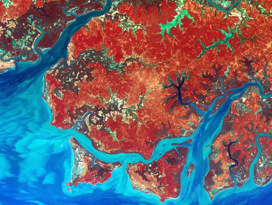 A false-color satellite image shows a fractal-like coastal landmass with a river emptying into the ocean. The land is shown in red and the water is shown in blue.