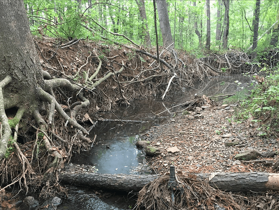 A stream of water in North Carolina.