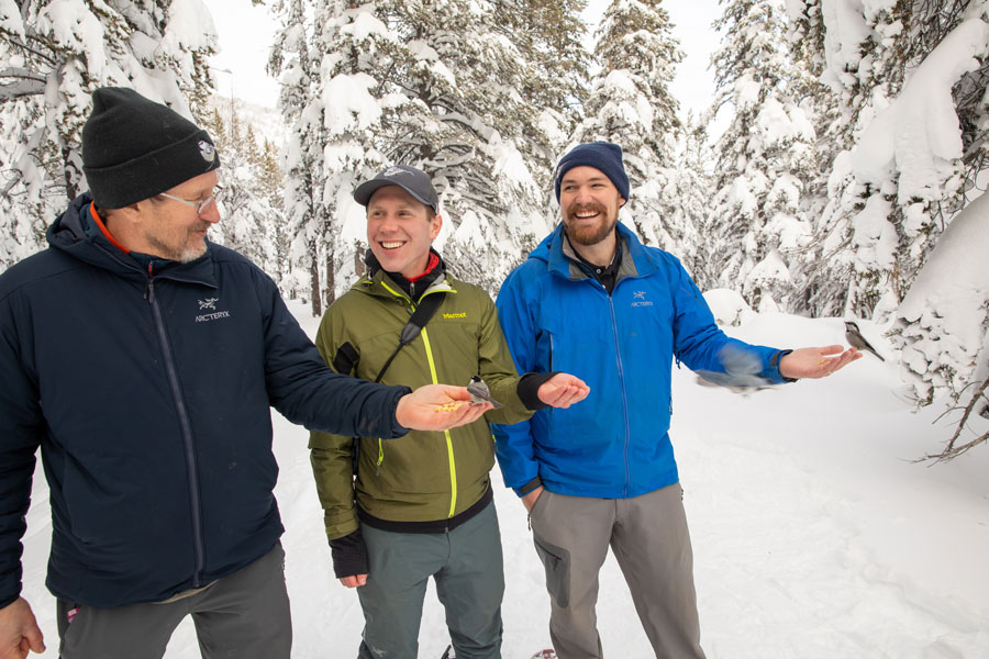 Three researchers feed chickadees by hand